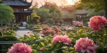 华夏物业究竟是做什么的？
