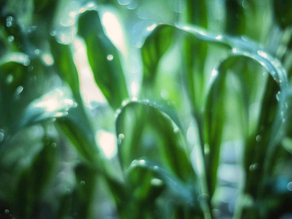 昆明万达物业究竟是什么资质？